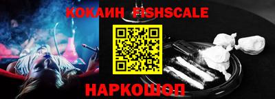 гидра Будённовск
