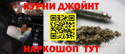гидра Будённовск