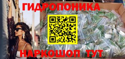 гидра Будённовск