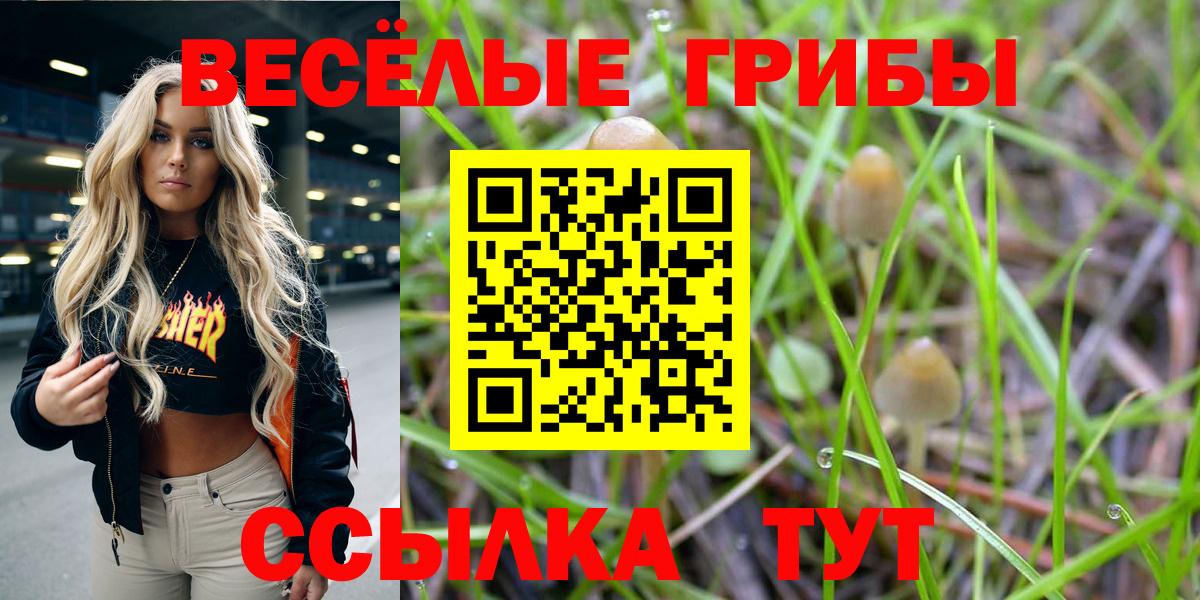 Псилоцибиновые грибы GOLDEN TEACHER Полевской